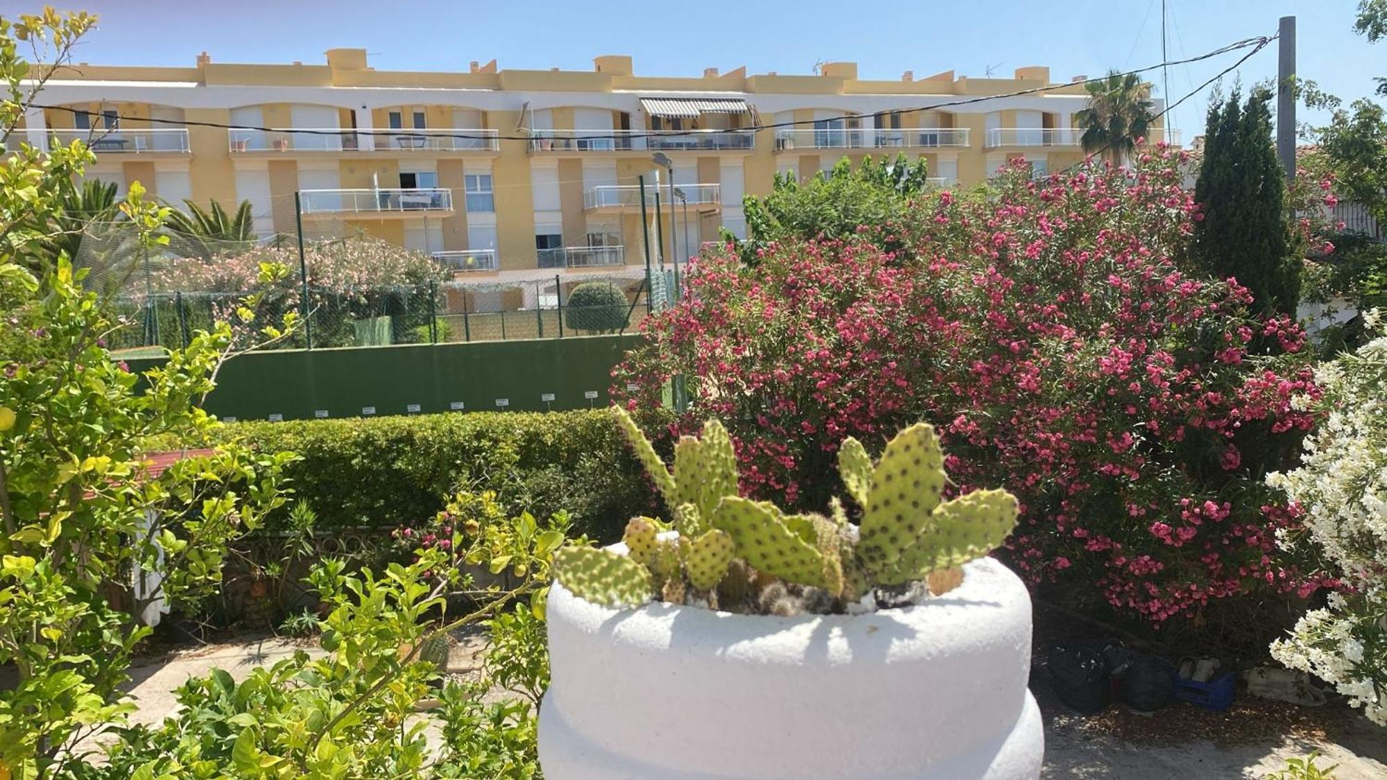 Chalet Denia Playa Primera Linea Villa Dış mekan fotoğraf